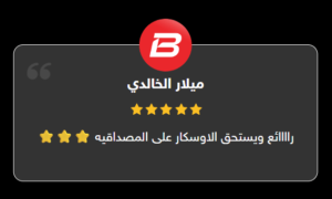 تظليل شيلد