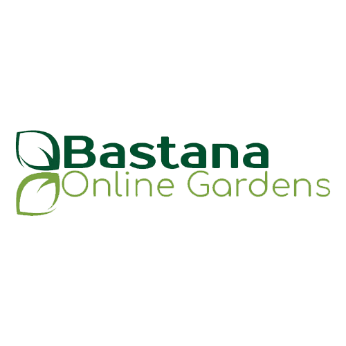 Bastana Promo Code